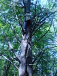 2005-07-23_15-09-01_RSEP
