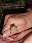 2005-07-23_23-03-54_EB