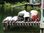2005-07-24_10-23-01_EB