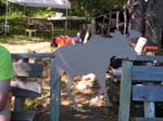 2005-07-24_15-00-01_ID