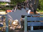 2005-07-24_15-00-12_ID